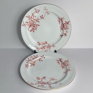 2 Rare Antique DERBY CROWN PORCELAIN Bread Plates / HAWTHORN PATTERN / 7 Inches